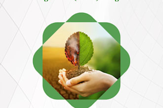 design a professional annual report or impact report