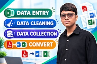 do data entry, data cleaning, data collection and convert PDF