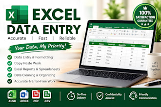 do excel data entry, formatting and cleanup