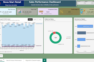 create a professional power bi dashboard and report