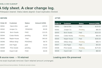 clean and organize your excel or CSV spreadsheet