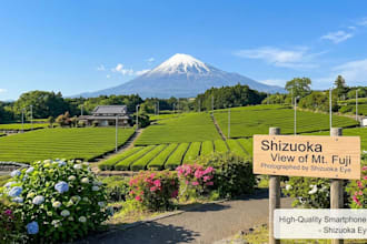 be your local guide and take photo video in shizuoka and mt fuji