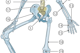 create publication ready scientific figures for journals