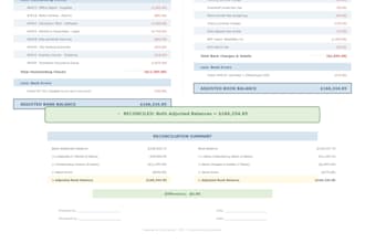 provide professional bookkeeping and accounting services