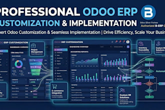 do custom erp development, customization and integration