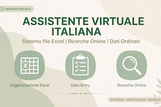 sistemo file excel ricerche online assistente italiana