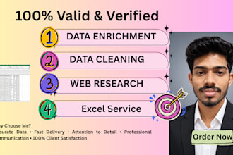 do data enrichment, data cleaning, web research and lead generation
