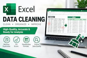 do data cleaning, excel data formatting and vlookup xlookup tasks
