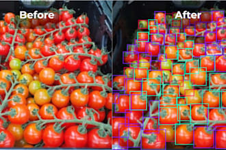 detect object using yolo opencv in python
