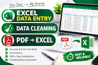 do excel data entry, data cleaning, data entry work