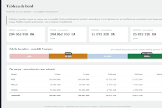 create a professional excel financial dashboard