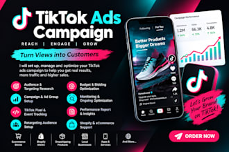 setup and manage tiktok ads campaign and tiktok advertising