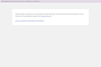 fix wordpress errors, bugs, crashes and plugin conflicts
