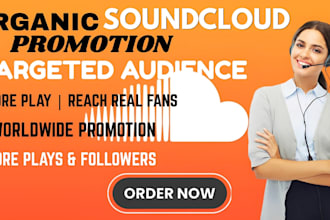do professional soundcloud promotion for your music track
