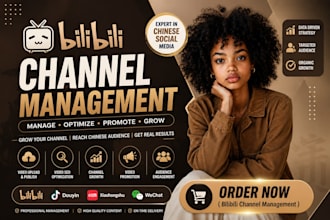 manage and optimize your bilibili channel bilibili video seo