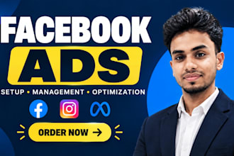 setup facebook ads campaign for leads and sales, fb advertising