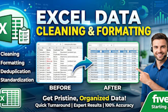excel data cleaning and formatting