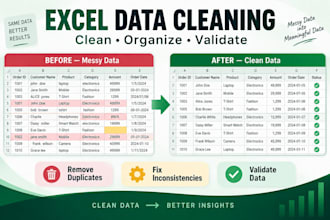 clean organize and validate your excel data