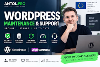 provide monthly wordpress maintenance, security and support