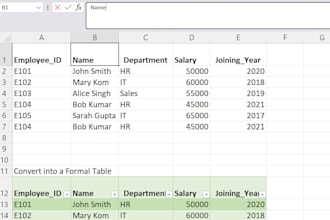 professional HR data entry excel payroll and admin support