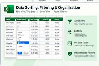 do excel, data entry, excel big data, ms word, data cleaning