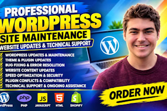 do professional wordpress site maintenance website updates and technical support