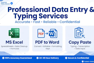 do fast and accurate data entry and typing work