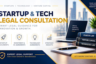 provide startup, technology and venture capital legal consultation