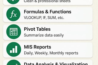 create professional excel and mis reports