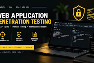 perform professional web application penetration testing