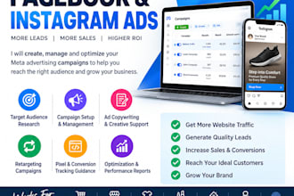 manage and optimize your facebook and instagram paid advertising campaign