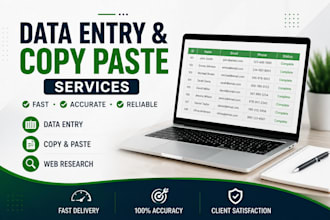 do accurate data entry and copy paste tasks