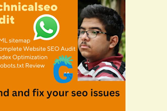 do seo audit of a website