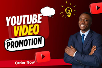 youtube ads video marketing and organic promotion campaign