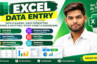 do excel data entry, cleaning, format, merging and splitting