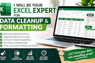 be your excel expert for data cleanup and formatting