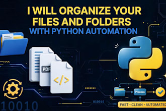 organize files and folders with python automation