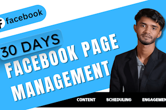 manage your facebook page professionally for 30 days