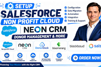setup salesforce non profit cloud neon CRM donordock bloomerang blackbaud salsa
