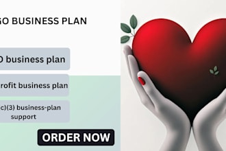 ngo business plan nonprofit charity funding grant strategy feasibility study