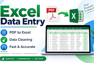 excel data entry and PDF to excel conversion
