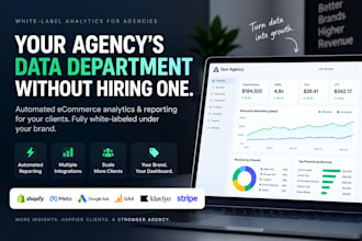 build an ecommerce analytics dashboard for your agency