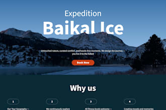 do a website or landing page UX UI design