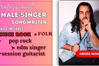 be male pop singer, pop rock, folk, indie rock, edm singer rnb session guitarist