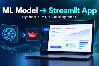 build a streamlit web app for your machine learning model