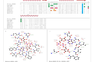 do bioinformatics gene and protein annotation and genomic analysis