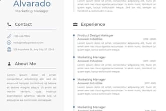 design format and edit professional CV or resume