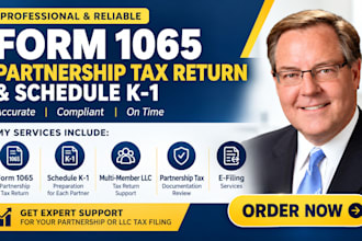 professionally prepare and file form 1065 partnership tax return and schedule k1