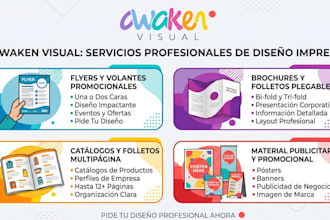 design a professional corporate brochure, catalog, or flyer