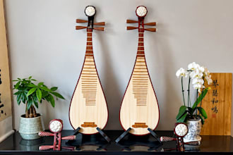 record live classical music with guzheng, pipa, sitar and erhu